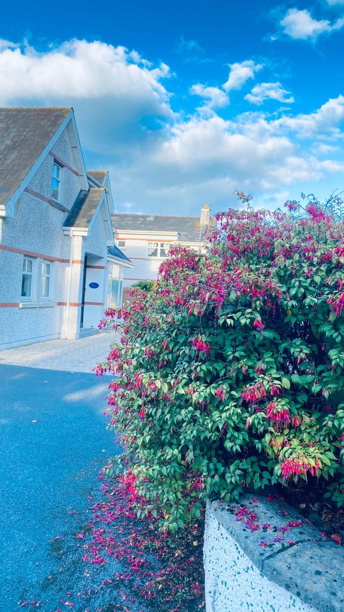 Sonas House Bed & Breakfast Kilkenny Bagian luar foto